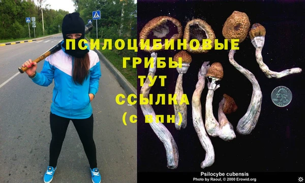 ALPHA-PVP Красноперекопск