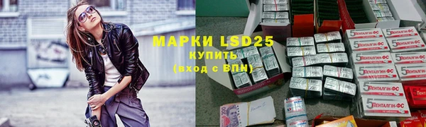 сатива Краснотурьинск