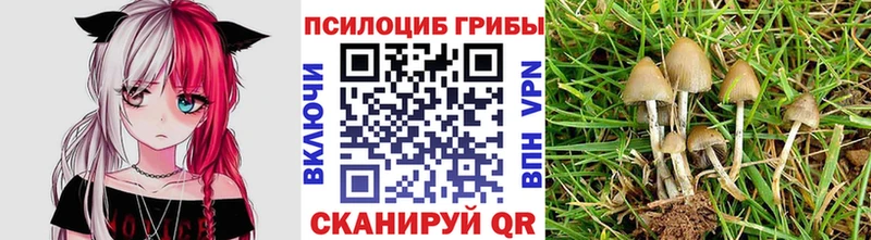 Галлюциногенные грибы ЛСД  Купить закладки  Сланцы 